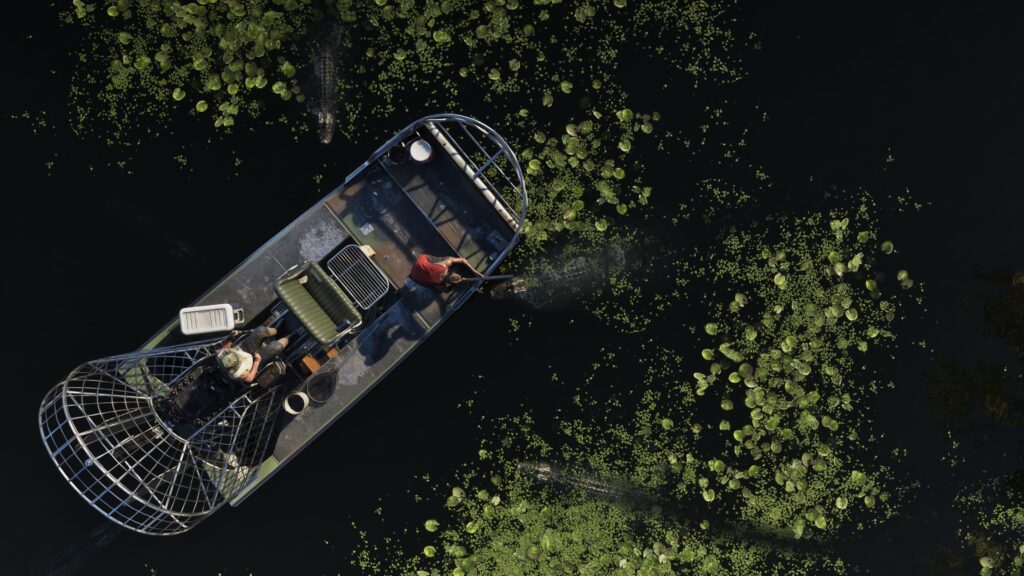 Gameplay Features: Confirmed, Not Confirmed, or Unknown
